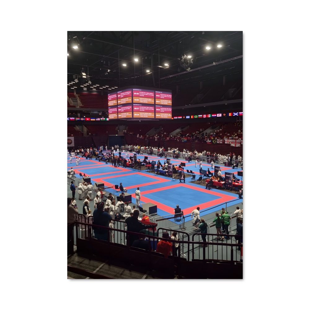 Poster World karate